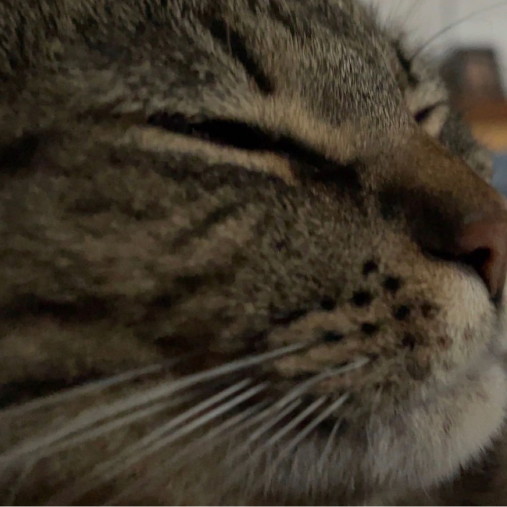 Meet your Posher, Brooklyn
